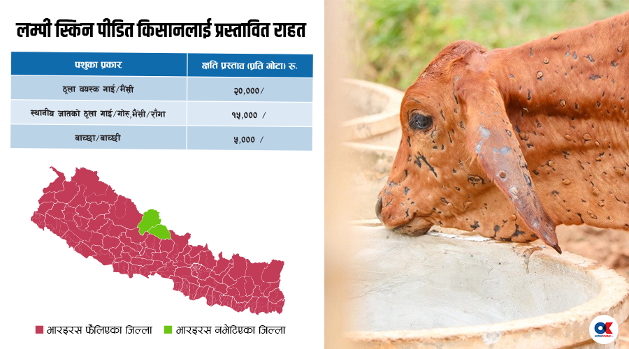  लम्पी स्किन पीडित किसानलाई २० हजारसम्म राहत प्रस्ताव